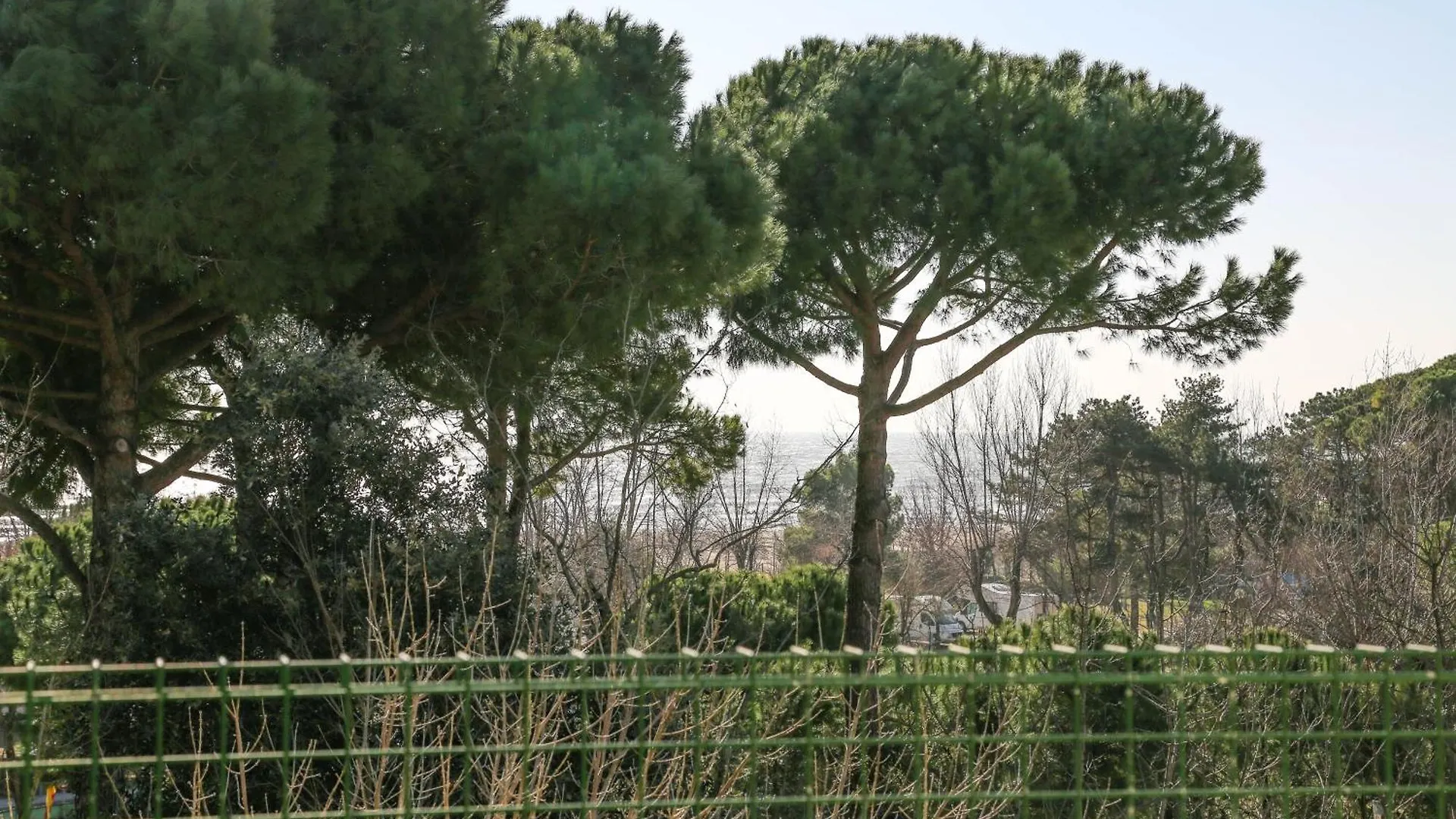 Apartment Appartamenti Perla Azzurra 4 Caorle